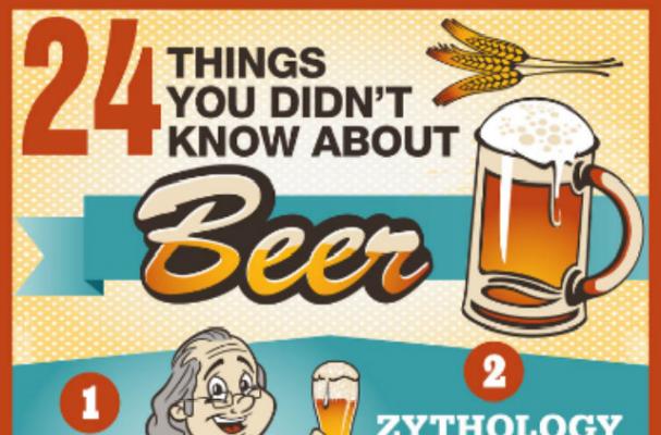 Foodista Infographic 24 Things You Didn T Know About Beer